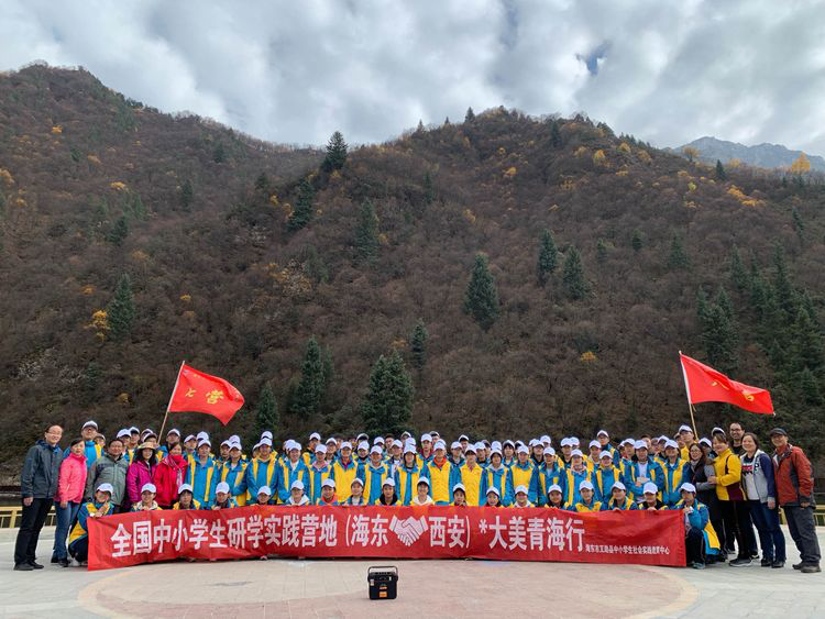 电子pg下载入口