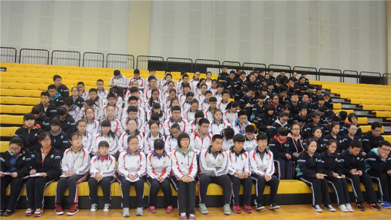 电子pg下载入口