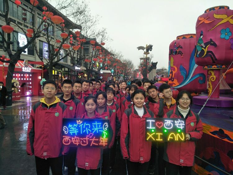 电子pg下载入口