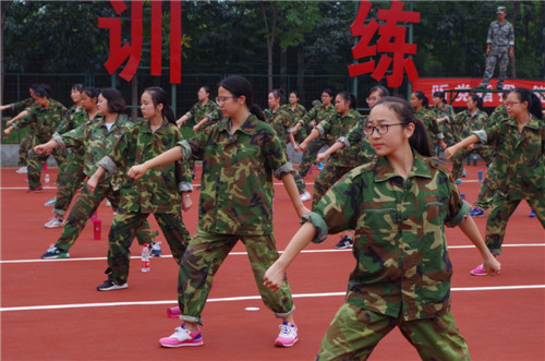 电子pg下载入口