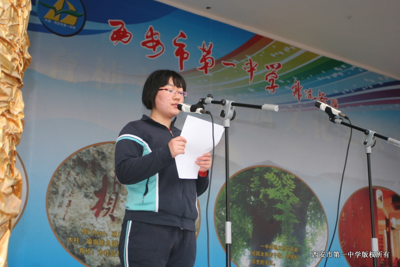 电子pg下载入口