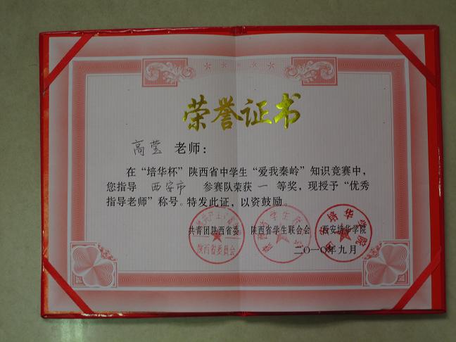 电子pg下载入口