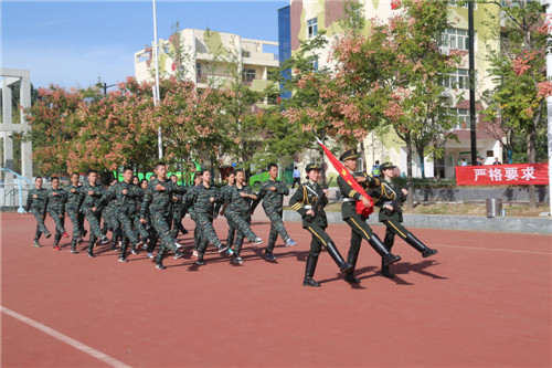 电子pg下载入口