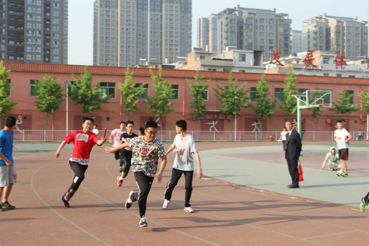 电子pg下载入口