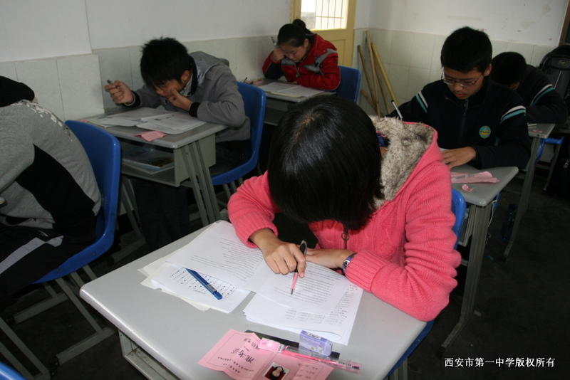 电子pg下载入口